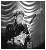 Florence, by Giulio Molfese